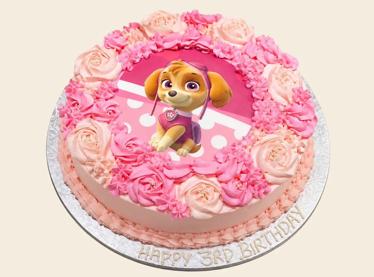 Skye Paw Patrol Cake