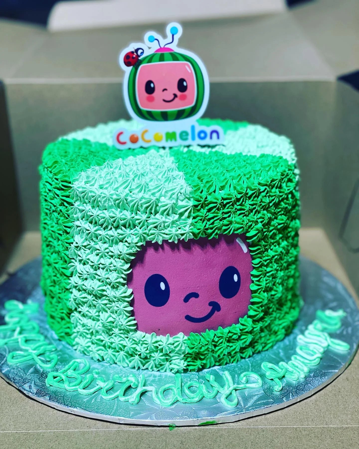 Cocomelon Patchwork Party Cake – Kids Birthday Cake