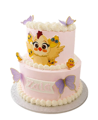 Baby Shower Cakes